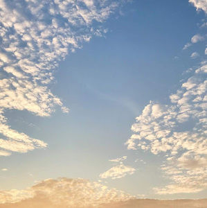 Meet your Posher, Isabel